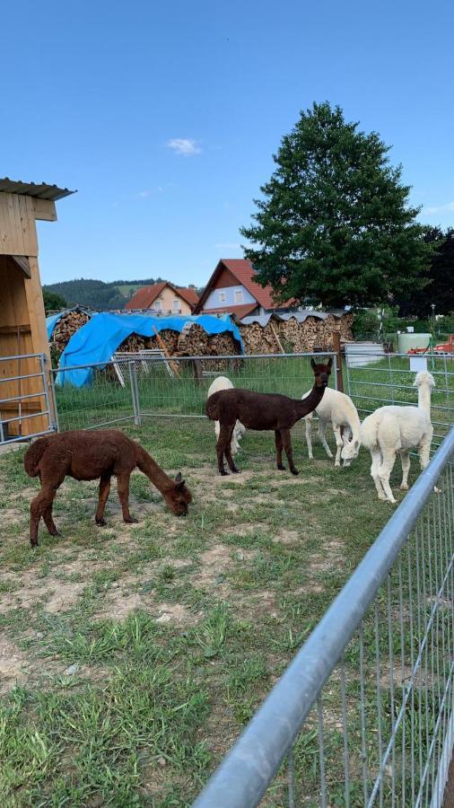 Gaestehaus Ulbl Kitzeck im Sausal Buitenkant foto